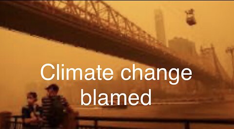 Senseless violence update and let’s blame climate change