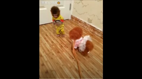 Baby Monkey Getting Chased By Toy