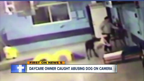 Man vacationing in Mexico sees video of worker kicking his pit bull at dog daycare in Tallmadge