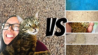 Cat litter I use vs other litters