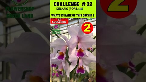 CHALLENGE # 22 |WHATS IS NAME OF THIS ORCHIDS?|YOU WANT TO LEARN? |# SHORT