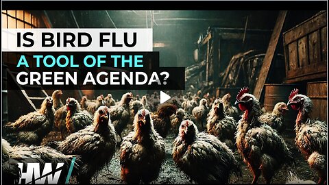 IS THE BIRD FLU A TOOL OF THE GREEN AGENDA?