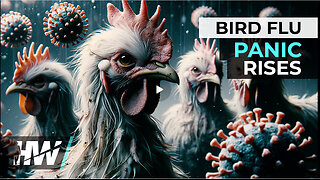 BIRD FLU PANIC RISES