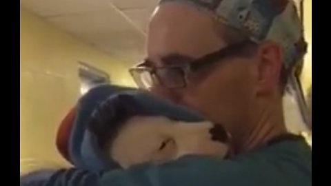 Assistant Vet Comforts Rescued Pit Bull After Surgery
