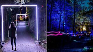 Cette forêt illuminée à Tremblant est LA « date » romantique à faire cet automne