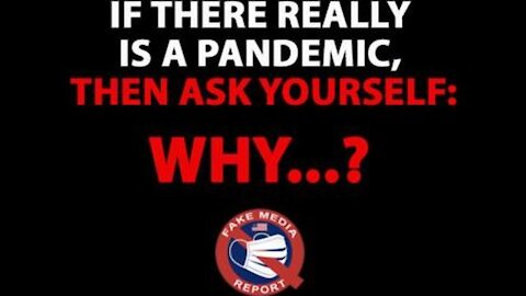 If There Really is A Pandemic, Then Why....? INCREDIBLE Analysis Debunking The Narrative