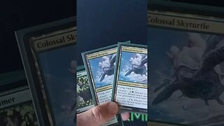 Why NeoBrand Plays Colossal Skyrurtle in the Sideboard