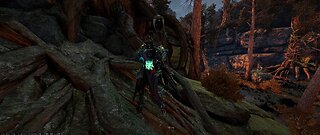 Warframe shananigans