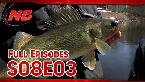 Season 08 Episode 03: Walleyes In A Great Lakes Tributary