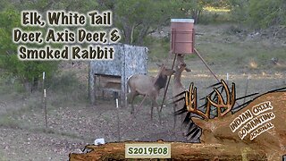 Indian Creek Bowhunting Journal: Elk, WT Deer, Axis Deer & Smoked Rabbit