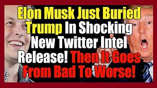 Elon Musk Just Buried Trump In Shocking New Twitter Intel Release!!