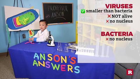 This 5-year-old genius can tell you all about the germs that can make you sick | Anson's Answers