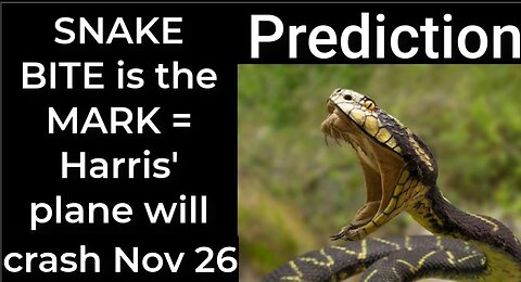 Prediction - SNAKE BITE prophecy = Harris’ plane will crash Nov 26