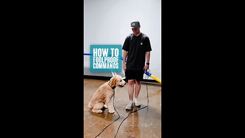 How To Foolproof Commands