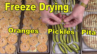 Freeze Drying Cara Cara Oranges, Pickles, and Pita