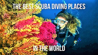 The Best Scuba Diving Places in the World (2023)