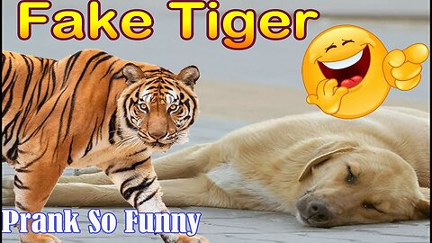 Troll Funny Dog Fake Tiger and Lion Prank video