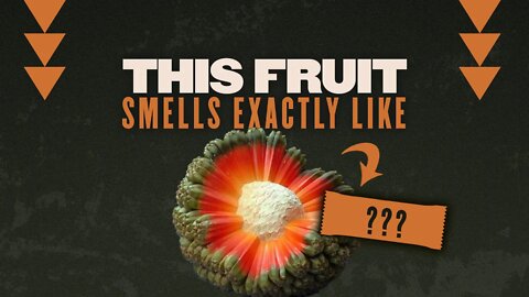 This fruit smells exactly like…