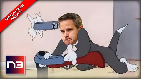 RINO Kinzinger BECLOWNS Himself After Attack On Top Trump Ally BACKFIRES Badly