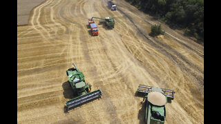 While food costs continue to rise, Russia-Ukraine war could inflate prices of wheat products