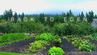 Back To Eden 2008 Amazing Gardening mindset Documentary