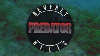 Beverly🤪Hills😆Predator💥🔥😎