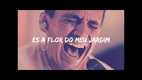 BANDA VININ - FLOR DO MEU JARDIM (Live Session) Lyric Video ヅ