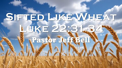 “Shifted Like Wheat” by Pastor Jeff Bell