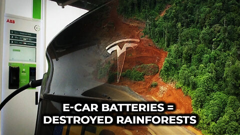 Electrics cars are destroying Indonesia’s forests