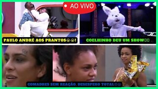 BBB 22 Ao Vivo Arthur Entra Na Casa De Coelho; Paulo André Chora Ao Ver Arthur; Jessilane Joga A Tol