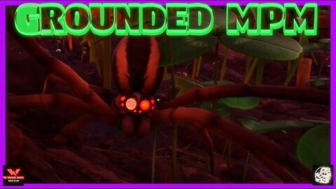 MPM - Grounded - Ants and Wolf Spiders
