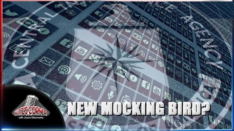 REVEALED: Social Media Sites being manipulated by CIA forces