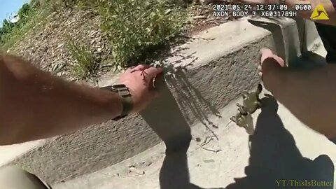 Ducklings Get Helping Hand From Albuquerque Police Officer