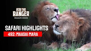 Safari Highlights 492: 1st & 2nd April 2018 | Maasai Mara/Zebra Plains | Latest Wildlife Sightings