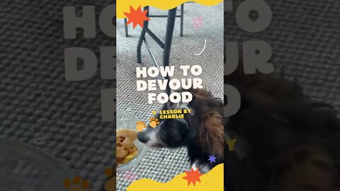 HoW to dEvOur fOOd | A LeSsOn by CHarliE | Life of Charlie