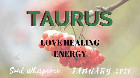 ♉ TAURUS ♉ LOVE HEALING: Try To Find the Silver Lining * January 2020