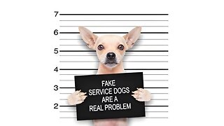 Fake service dogs and emotional support dogs