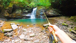 TROUT FISHING PARADISE! (Backcountry Brook and Rainbow Trout)