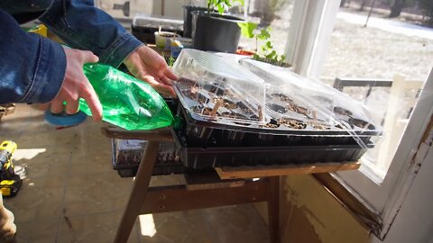 Starting seeds in our sunroom. No lights needed! | The homestead E15 S2