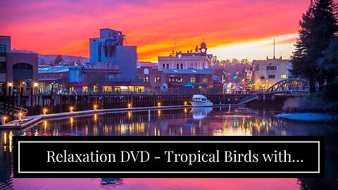 Relaxation DVD - Tropical Birds with Music or Nature Sound Calming Scenes of Pure Nature for Do...