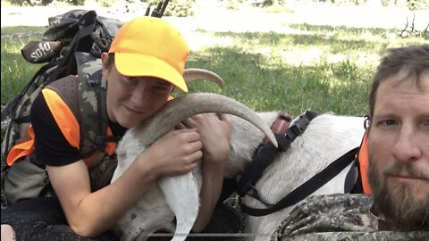 Twins’ Cow Elk Hunt with Pack Goats