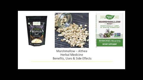 Marshmallow Root - Herbal Medicine - Benefits, Uses & Side Effects