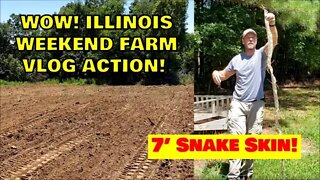 Illinois FARM VLOG! 7' snake skin, tractor, Rustic projects, New Bobcat e42, Food plots & more!