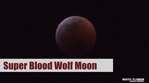 Super Blood Wolf Moon | Creepy Red Moon 4k