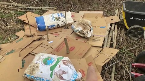 Food Forest: Building a natural garden bed and selecting seed for planting.