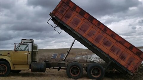 Farm Grain Truck as a Dump Truck