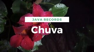 Sonido de la lluvia 24/7 🔴- Naturaleza - Sueño - Calma la mente