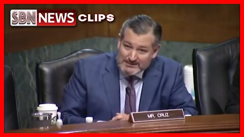 Did You Know What You Were Doing?': Ted Cruz Grills Judicial Nominee Over His Record - 4887