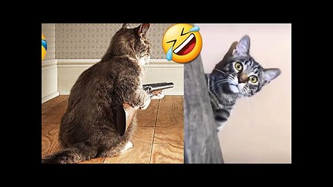 Funny videos | Funny memes 🤣 |Funny comedy 😃 |Funny animals 🤣 Fun 😁 Don't Try Laughing 😄