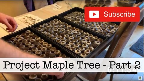 Episode 8 - Project Maple Trees - Part 2